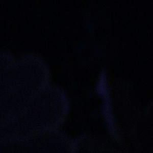 Meet your Posher, Hunter